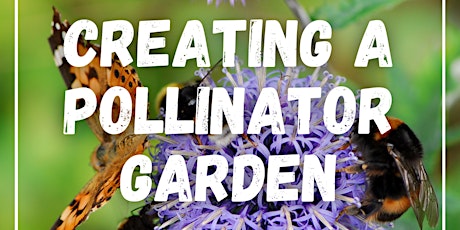 Primaire afbeelding van Creating a Pollinator Garden