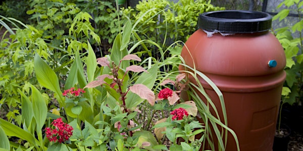 Rainwater Harvesting with Rain Barrels: Water Wise Landscaping Workshop