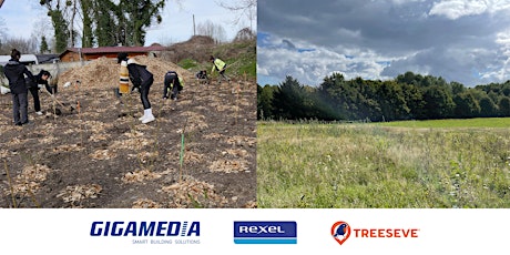 Journée partenaire Gigamédia - Rexel et Treeseve à Caudry