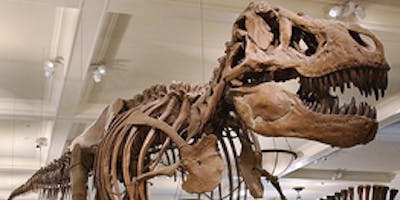 Kids Russian Tour at the Museum of Natural History (Dinosaurs) for 4 to 8 years olds