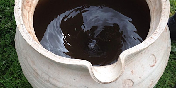 Introduction to Biodynamics