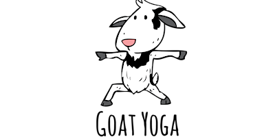 Sunset Baby Goat Yoga  primärbild
