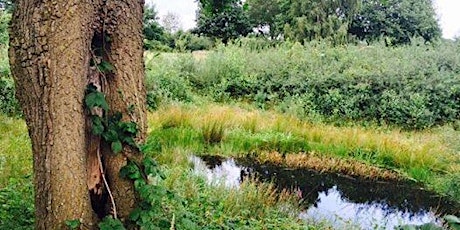 Primaire afbeelding van Natuurwandeling met coach in Mastbos