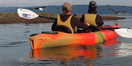 Dosewallips Estuary Wildlife Viewing Kayaking Tour