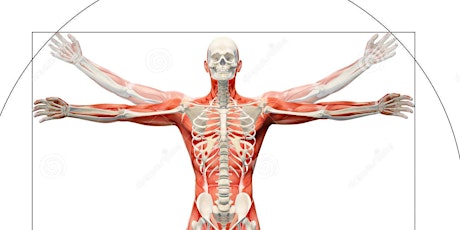 Anatomy and Physiology for the Interpreter (Spanish/English)