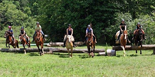 Imagem principal do evento Natural Horse Solutions: Kids Summer Camps 2024