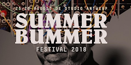 Primaire afbeelding van SUMMER BUMMER FESTIVAL 2018