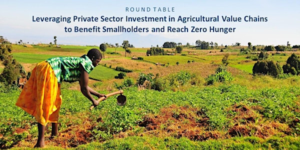  Leveraging Private Sector Investment in Agricultural Value Chains to Benefit Smallholders and Reach Zero Hunger
