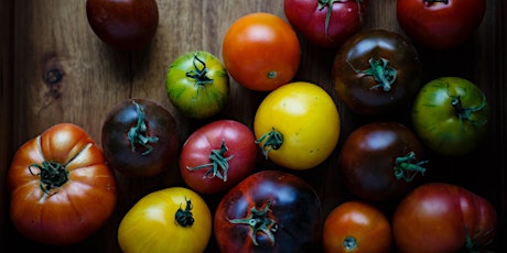 Tomato and Pepper Tasting | Slow Food + Culinary Breeding Network primary image