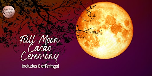 Copy of Full Moon Cacao Ceremony primary image