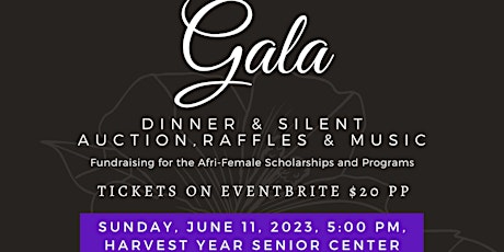 Afri-Female Institute, Inc. Rites of Passage and Awards Ceremony