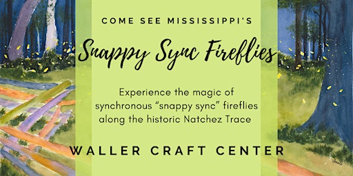 Imagem principal de 2024 Snappy Sync Soiree and Firefly Tours