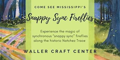 2024 Snappy Sync Soiree and Firefly Tours primary image