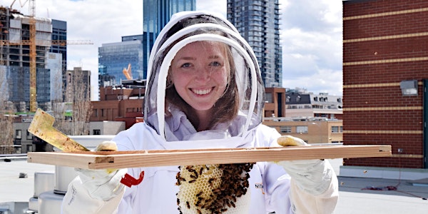 Urban Beekeeping Immersive Experience