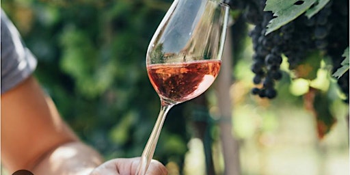 Image principale de Rosé Wine Tasting