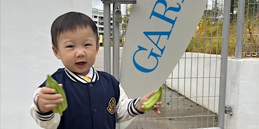 Looking for Edible Garden Volunteers primary image