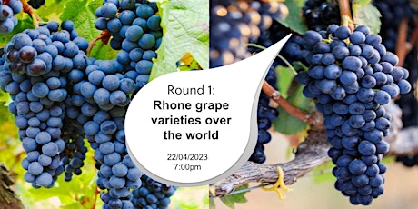 Primaire afbeelding van Round 1 - Rhone grape varieties ove