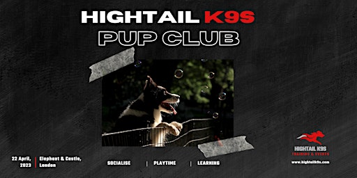 Imagem principal do evento Pup Club - @Hightailk9s