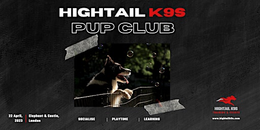 Primaire afbeelding van Pup Club - @Hightailk9s