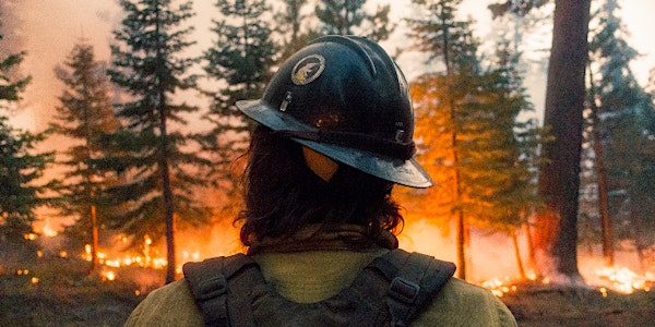 Wilder Than Wild: Fire, Forests and the Future