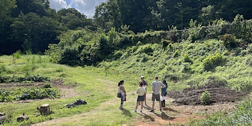 Hauptbild für Ecotherapy: A Mindful Group for Mental Health in Nature