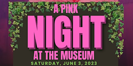 A Pink Night...at the Museum primary image