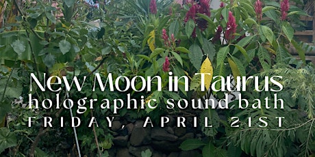 Imagen principal de NEW MOON in Taurus: Holographic Sound Bath with Jamie