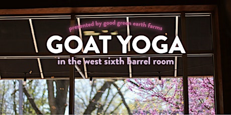 Goat Yoga at West Sixth Brewing primary image