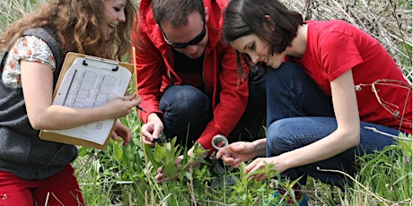 Monarch Larva Monitoring Project (MLMP) Training in Brighton