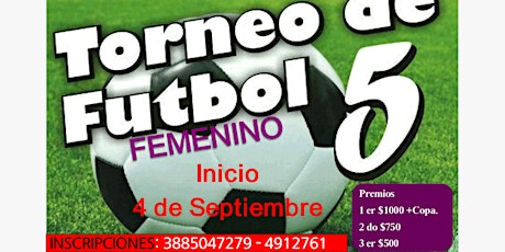 Imagen principal de Fútbol 5 Femenino