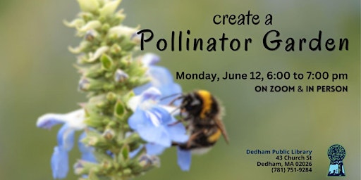 Imagem principal de The Pollinator Garden