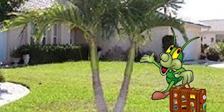 Palms for Your Florida Landscape & General Household Pest Control for Homeowners primary image