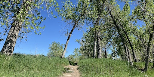 Hauptbild für Qigong and Mindfulness Walk