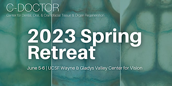 C-DOCTOR 2023 Spring Retreat