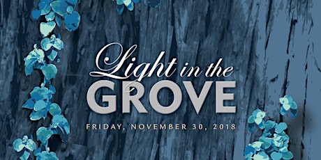 Light in the Grove 2018 primary image