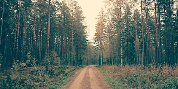 Forests for Our Future: Portfolio Opportunities & Material Financial Risks