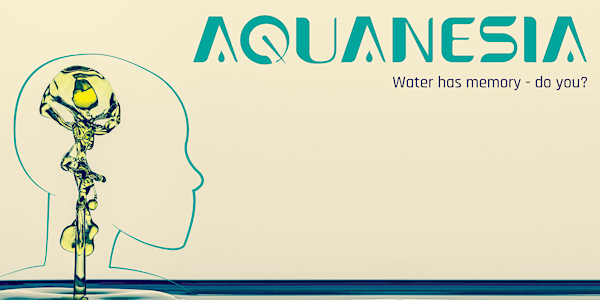 Aquanesia: Rochester