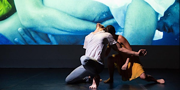 Art/Experimental Films at Catharine Clark Gallery