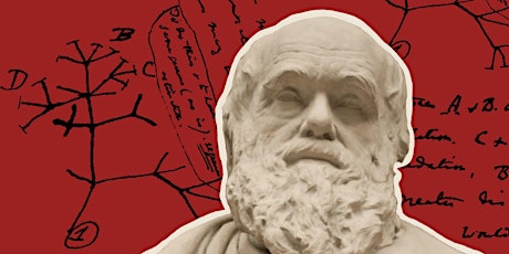 The Evolution of Darwin and the Great Debate primary image