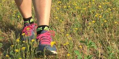 WELLNESS WALKING SETTEMBRE 2018 - Prova Gratuita WELLNESS WALKING SETTEMBRE 2018 - Prova Gratuita