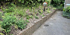 Evening Urban Wildlife Project @ High Wycombe Almshouses primary image