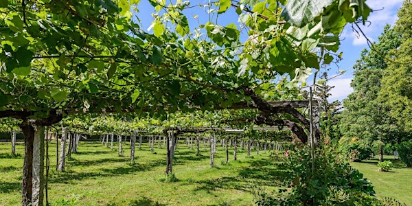 Rías Baixas & Rioja Wine Dinner