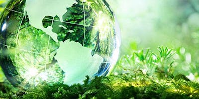 Insegnare la biodiversità Insegnare la biodiversità