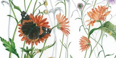 ” La scoperta della biodiversità botanica del mondo” – illustrazioni dall’epoca delle esplorazioni geografiche di Francesco Mezzalira ” La scoperta della biodiversità botanica del mondo” – illustrazioni dall’epoca delle esplorazioni geografiche di Francesco Mezzalira