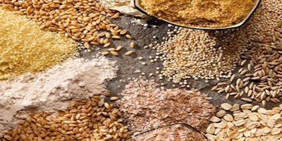 Cereali in Biologico – da vecchie e antiche varietà alle popolazioni, le sfide del nuovo regolamento sul Bio Cereali in Biologico – da vecchie e antiche varietà alle popolazioni, le sfide del nuovo regolamento sul Bio