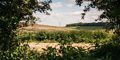 Farm walk with Tim May at Kingsclere Estates primary image