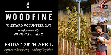 Vineyard Volunteer Day at Woodfine Wine Organic Farm, Seer Green, Bucks. primary image