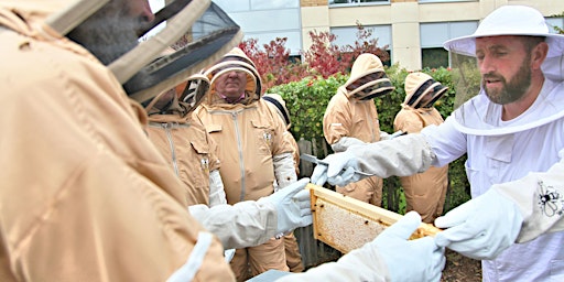 Hauptbild für Birmingham Business Park Meet the Bees