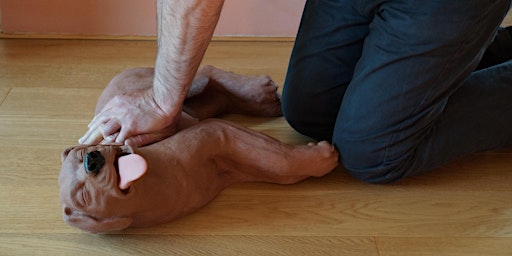 Image principale de Pet First Aid  For Pet Professionals Classroom Day Course
