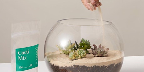 Terrarium Building Workshop in Bethesda